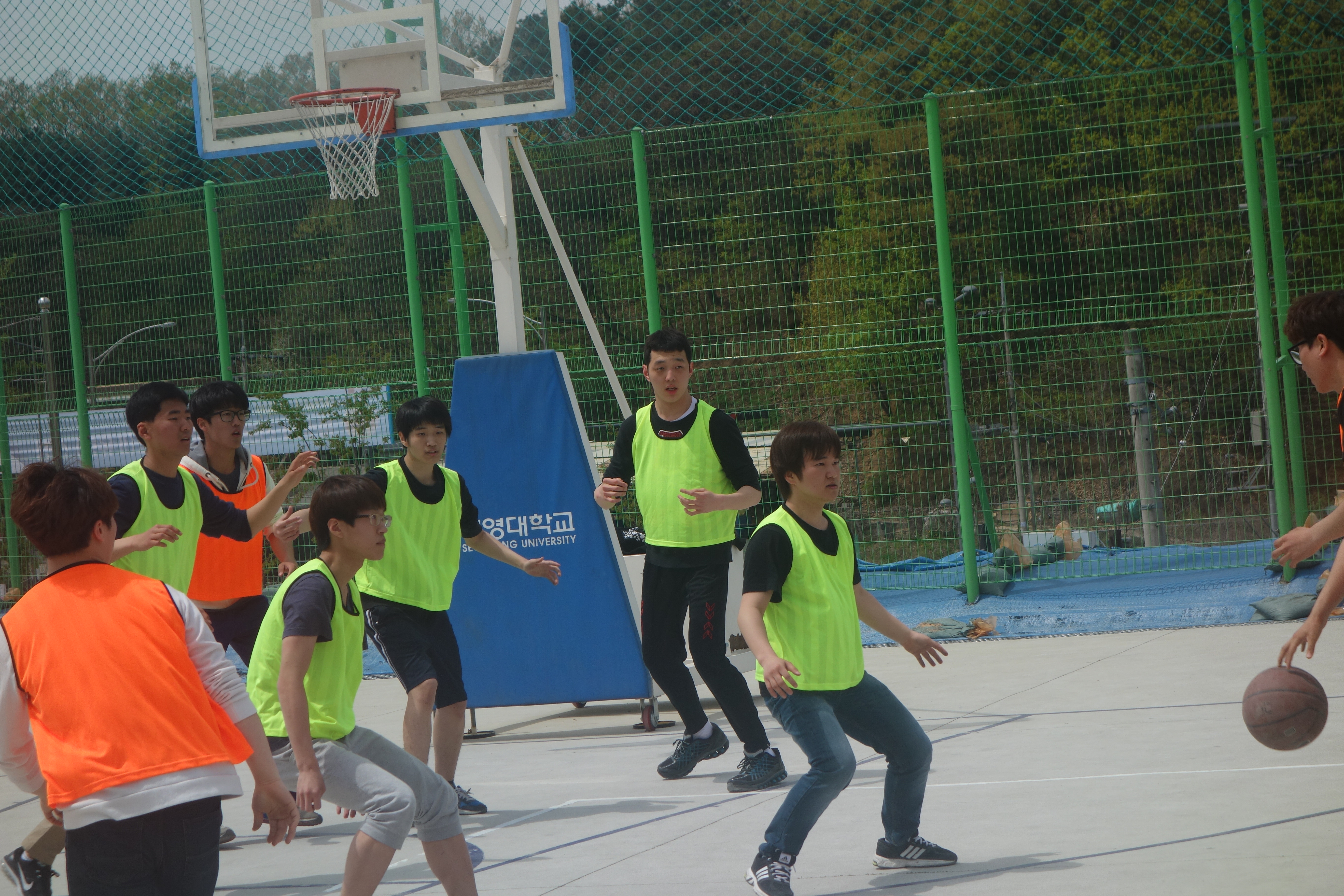 체육대회 3.JPG